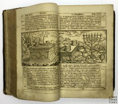 Bible-Svatovaclavska-1715__E5748